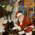 Santa's avatar