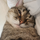 Monkey_Jo's avatar