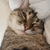 Monkey_Jo's avatar