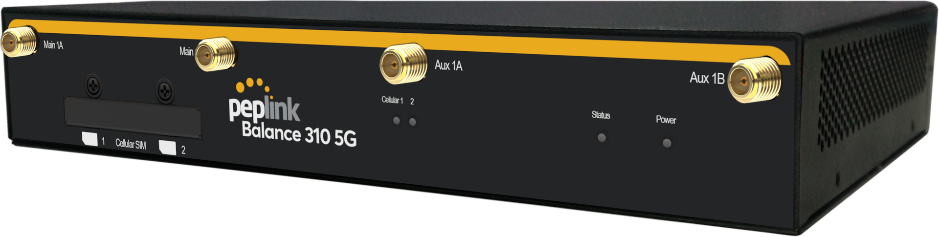 Peplink BPL-310-5GH-R-T 