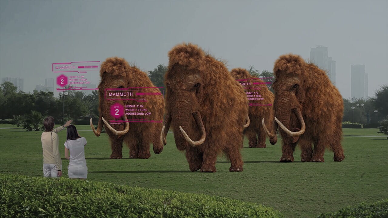 Free download spider box usb 2007 driver