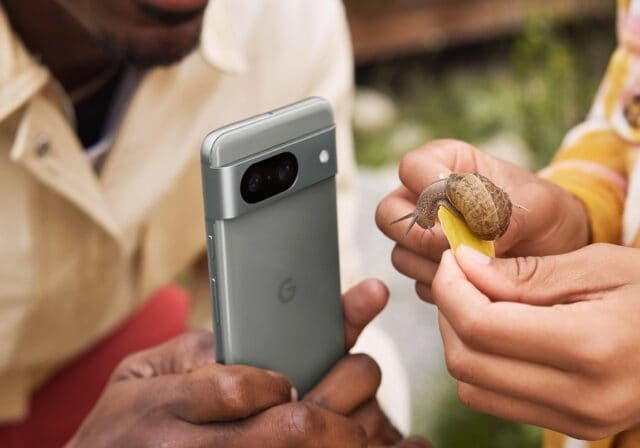 Man using Google Pixel 8 Pro to take a picture of a snail that is eating a leaf being held by his friend