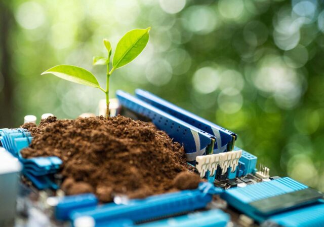 A plant growing out technology.