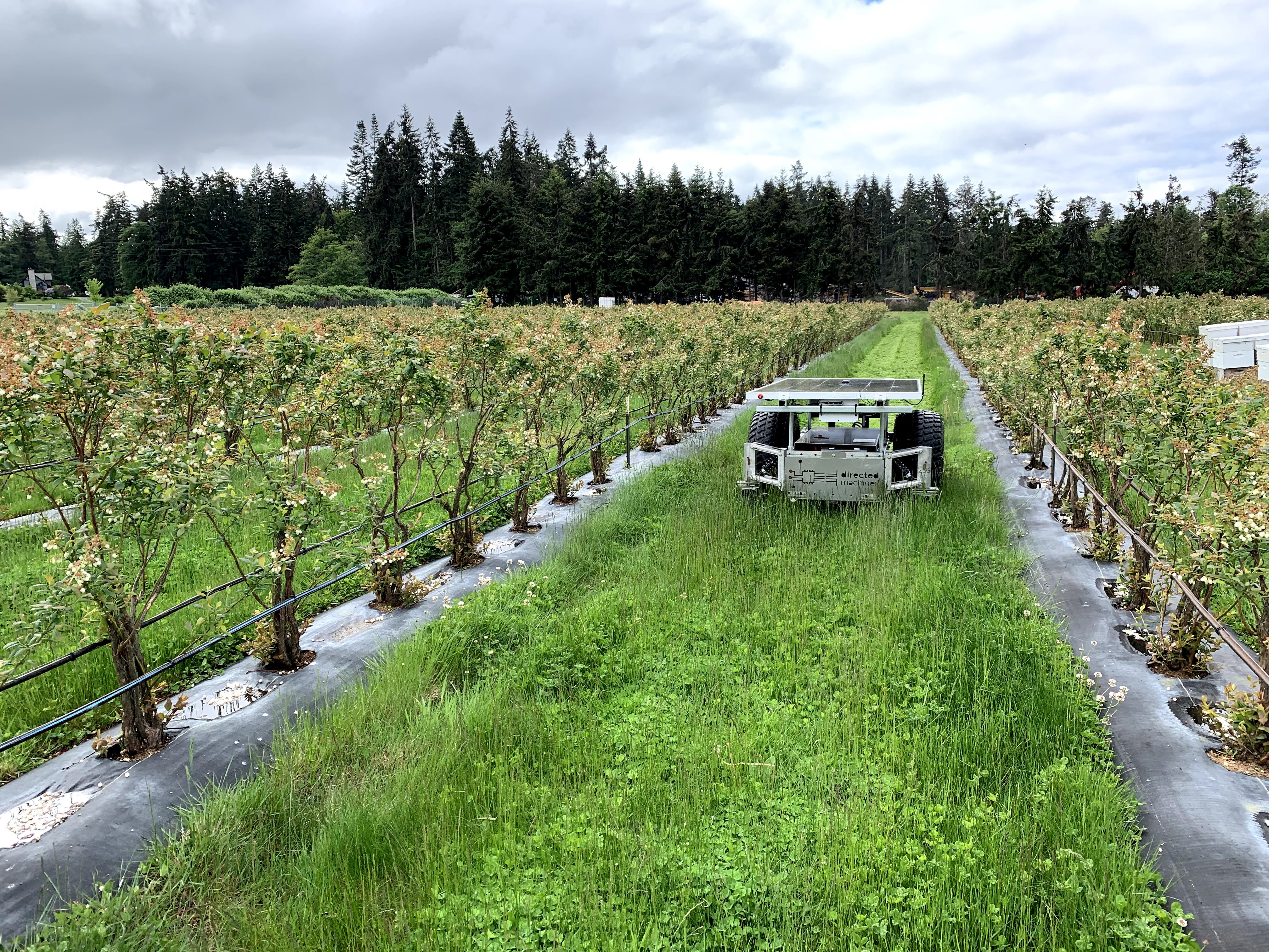 Agriculture and Renewable Energy Land Management with Robotics - T‑Mobile  Newsroom