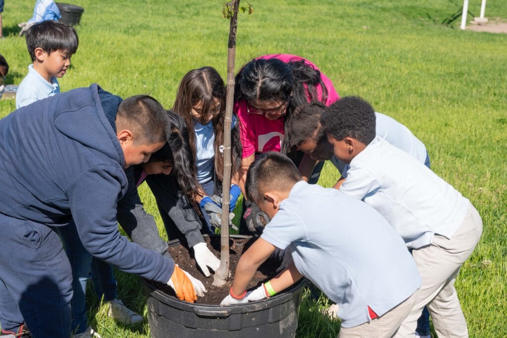 tree planting