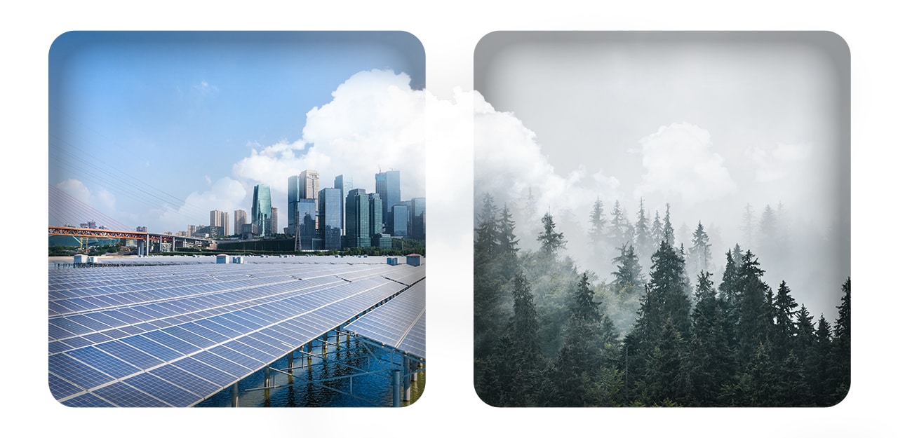 Sustainability quiz answer graphic #6